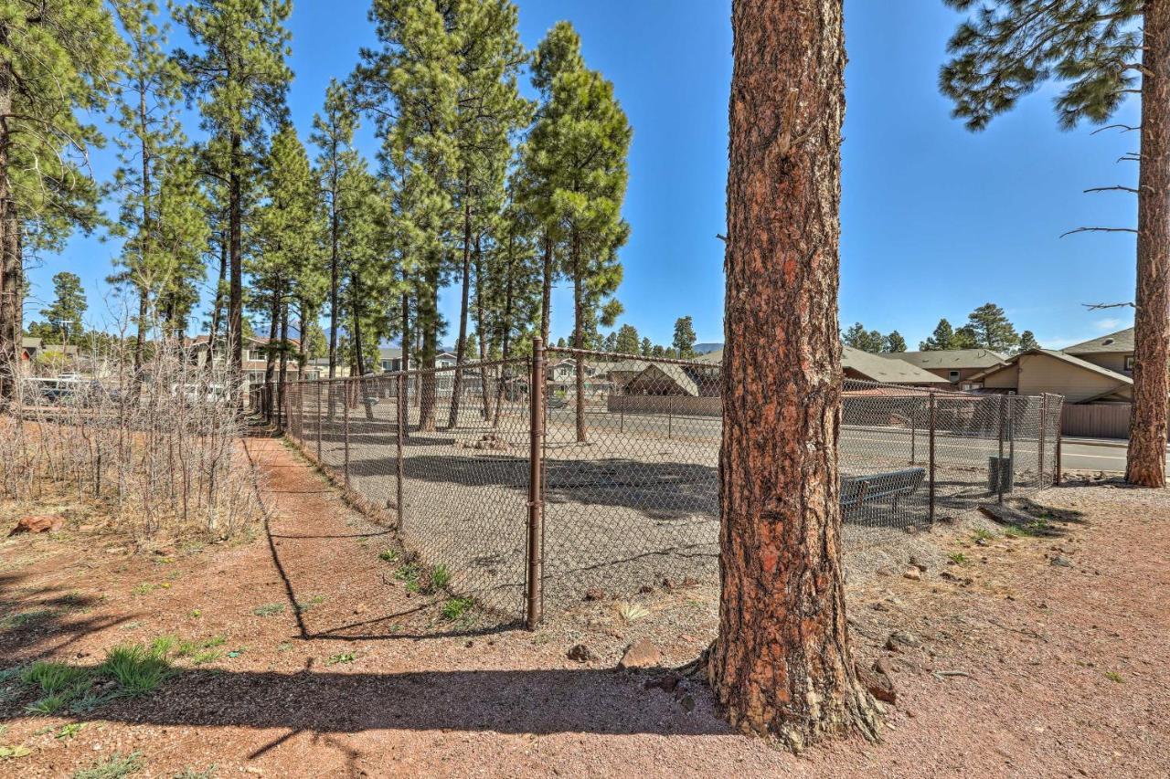Modern Flagstaff Home, 4 Mi To Downtown! Экстерьер фото